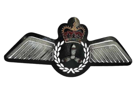 FE Wings