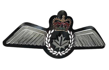 Pilot Wings